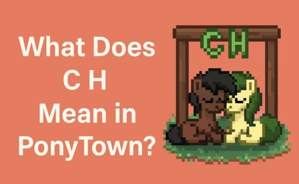 What Does C H Mean in PonyTown